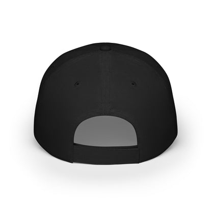 MY EXTROVERTED SELF MADE THESE PLANS - Low Profile Baseball Cap