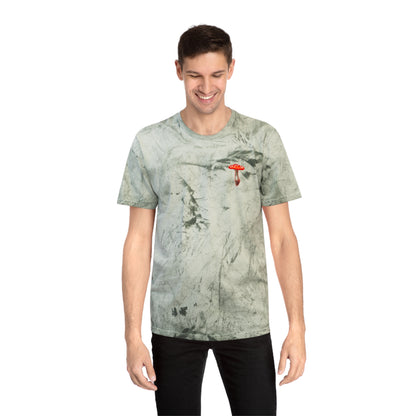 SCENIC MOUNTAIN VIEW - Unisex Color Blast T-Shirt