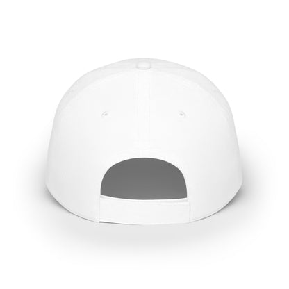 MY EXTROVERTED SELF MADE THESE PLANS - Low Profile Baseball Cap
