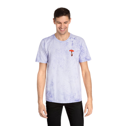 SCENIC MOUNTAIN VIEW - Unisex Color Blast T-Shirt