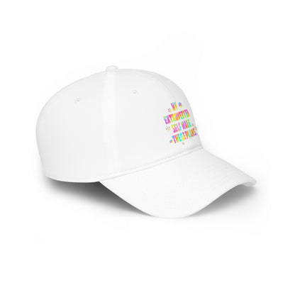 MY EXTROVERTED SELF MADE THESE PLANS - Low Profile Baseball Cap