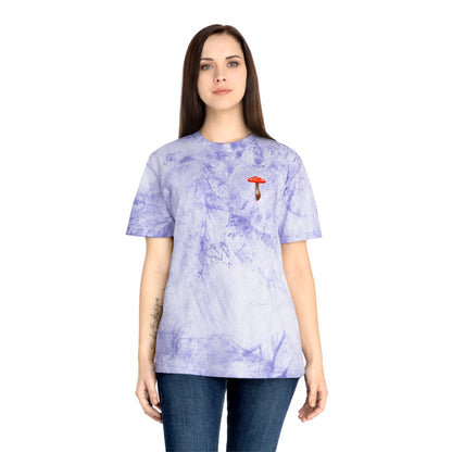 SCENIC MOUNTAIN VIEW - Unisex Color Blast T-Shirt