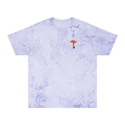 SCENIC MOUNTAIN VIEW - Unisex Color Blast T-Shirt
