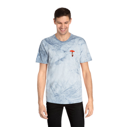 SCENIC MOUNTAIN VIEW - Unisex Color Blast T-Shirt