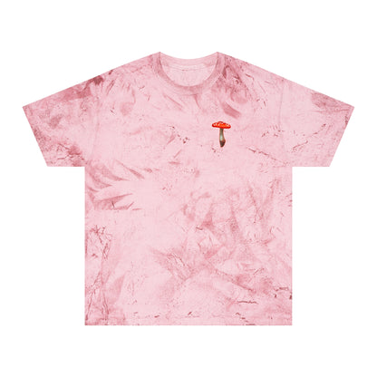 SCENIC MOUNTAIN VIEW - Unisex Color Blast T-Shirt